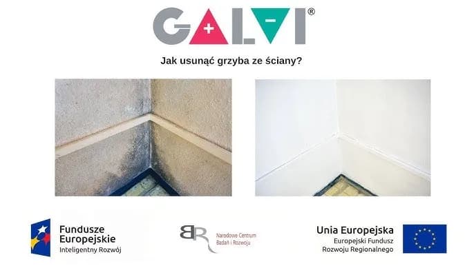 Skuteczne sposoby jak usunąć grzyb ze ściany: poradnik krok po kroku