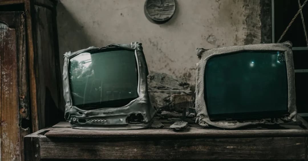 Ekologia w filmach: Jak kino kształtuje świadomość widzów?