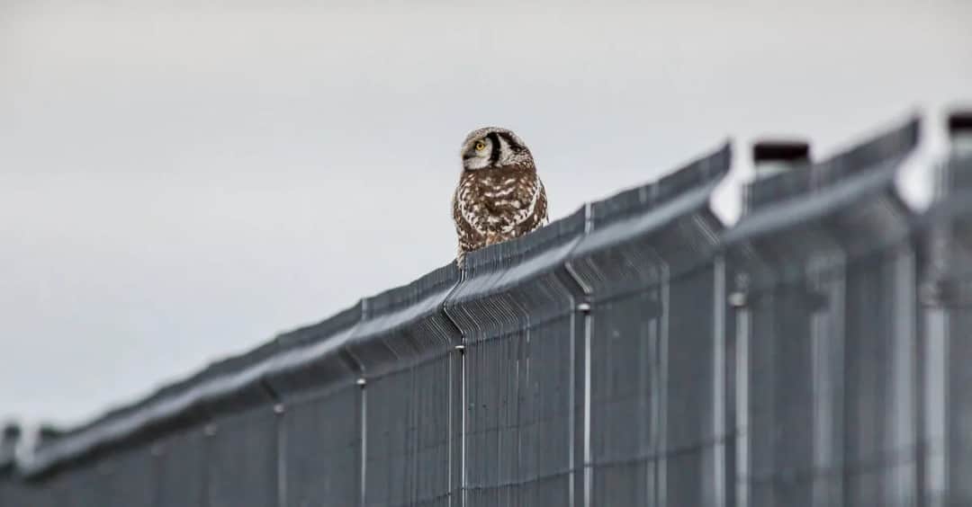 Ranking bajek ekologicznych - co warto pokazać dzieciom?