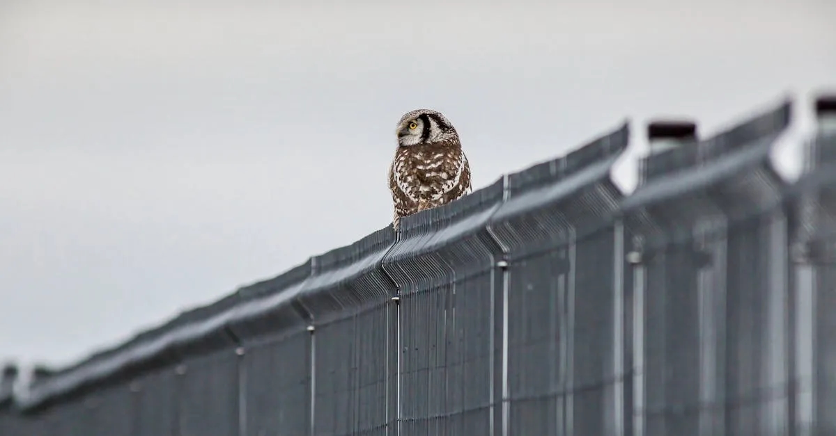 Ranking bajek ekologicznych - co warto pokazać dzieciom?