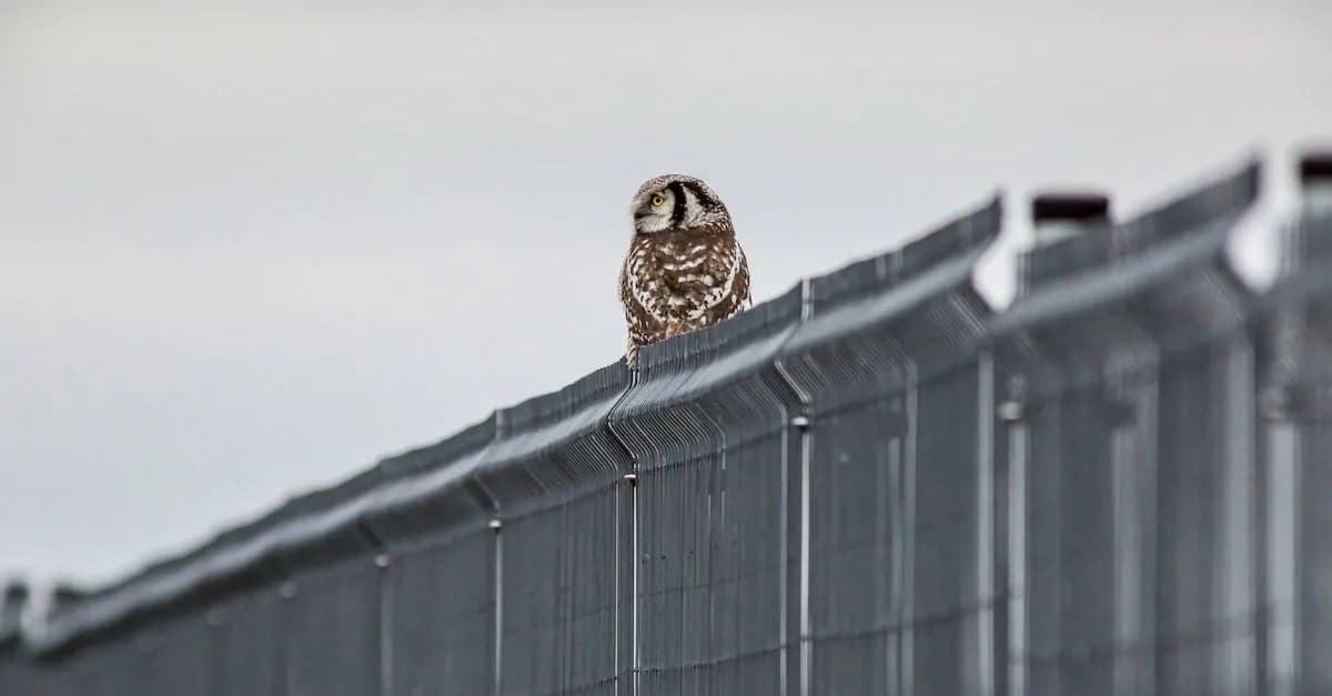 Ranking bajek ekologicznych - co warto pokazać dzieciom?