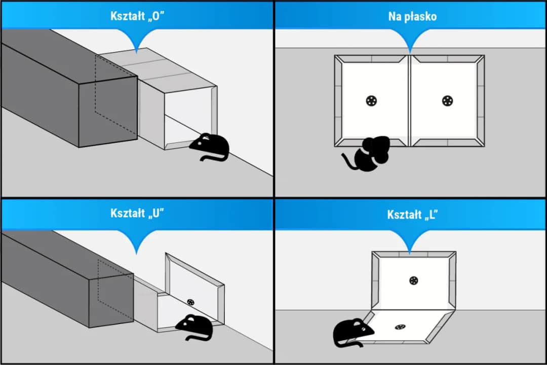 Skuteczne sposoby jak pozbyć się myszy ze ściany: 5 sprawdzonych metod
